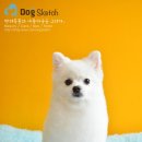 뽀미 애견 미용샵 이미지