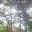 마국산둘레길 이미지