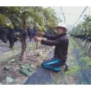 무주읍011 이미지