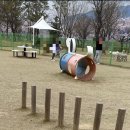 동락공원 반려동물 놀이터 이미지