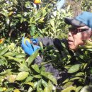 선달농장 이미지