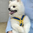 겨울나는나비동물병원 이미지