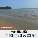 배변의기술 | 다대포 갯벌체험 부산근교 갯벌체험 물때 맞추기(근처 가볼만한곳, 주차 정보까지)