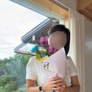 여유로운황토집민박 | 하동 평사리의 그집 황토방 두 번 다녀온 후기 / 촌캉스, 독채민박