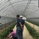 중부농업인상담소 이미지