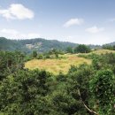 수촌리 고분군 이미지