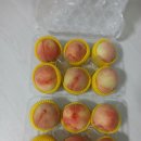 철호농장 티스토리