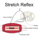 이루어짐 이미지