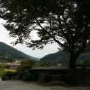 북상면횟집 이미지