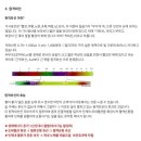아트퀸기능성속옷 이미지