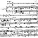 루이스 슈포어 바이올린 협주곡 No3 inC major Op 7[갑진년출생~ 기미년사망] 이미지