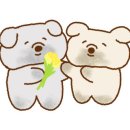 퓨어셀에스테틱