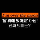 (저녁)여행영어&이디엄 회화 | “I&#39;m over the moon”이 이런 뜻이라고? ㅣ 여행영어회화