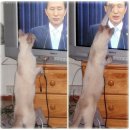다시원