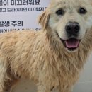 펫엔조이 서귀포점 네이버블로그