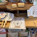 알찬들애 | 강릉여행 아이와 함께 꼭 가볼만한 곳, 동물친구(토끼,말,고양이,개)들이 있는 <뒷뜨루> 후기