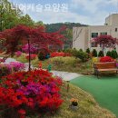 시니어캐슬요양원