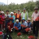 찬조농장 이미지