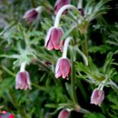 이렇게 좋은날 이미지