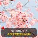 숨겨진 벚꽃 명소 bset 4 '지하철로 벚꽃 구경 가기' 이미지