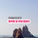 지에스25 제부매바위점