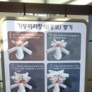 울진 봉평리 신라비 전시관 | 울진 봉평리 신라비 전시관