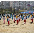 새샘초등학교 병설유치원 이미지