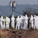 만전농장 이미지