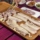 배한일
