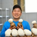 최병현농장 네이버블로그