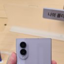 Z-테크 | 갤럭시 Z 폴드8 실물 후기! 4:3 와이드 화면부터 주름·두께 직접 확인한 총평