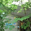 바나나모텔 이미지