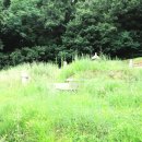 류사눌묘 이미지