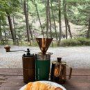 국립희리산해송자연휴양림 | [충남|서천] 국립희리산해송자연휴양림(feat지네😰😨😱😢)