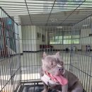 4공단로10길 이미지