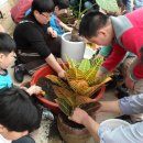 해인어린이집 이미지