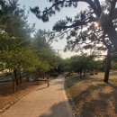 신암어린이 놀이터 이미지