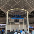 삼성카랜드 | 경기도 용인 삼성화재 모빌리티뮤지엄 데이트추천 클래식카 전시회