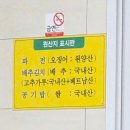 손씨 | 내돈내산 대전 오씨칼국수 도룡점 손칼국수 후기