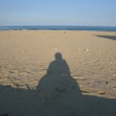 월포바닷가 이미지