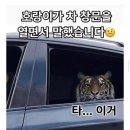 2월 12일 토요일 오후4시 교대역 "탐나 종합어시장" 에서 만납니다 ~ 이미지