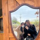 소소일