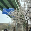 4공단로1L-53 | 🌸26년 4월 3일~4일 대전 1박 2일 여행 - 대청호,롯데시티호텔, 우암사적공원, 얼칼