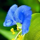 사랑축사 이미지