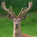 무궁화한의원 이미지