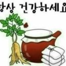 쌀을 물에 불려야 하는 이유 이미지