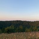 혼자여도괜찮지만 이미지