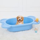 애견모델 이미지