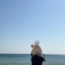 화진포펜션 | 강원도 고성 카페 추천: 스퀘어루트 내돈내산 리뷰 내돈내산 후기(feat. 화진포 해수욕장 차박)