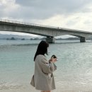 오늘도 너에개(Today forudog) | 오키오키오키나와♥ [day3; 북부투어, 지노투어,아메리칸빌리지]